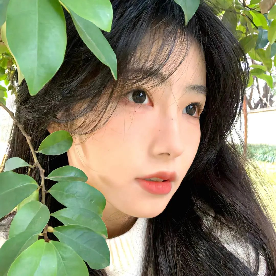 红妆问佳人
